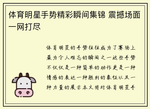 体育明星手势精彩瞬间集锦 震撼场面一网打尽