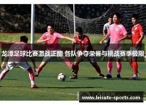 龙潭足球比赛激战正酣 各队争夺荣誉与挑战赛季极限